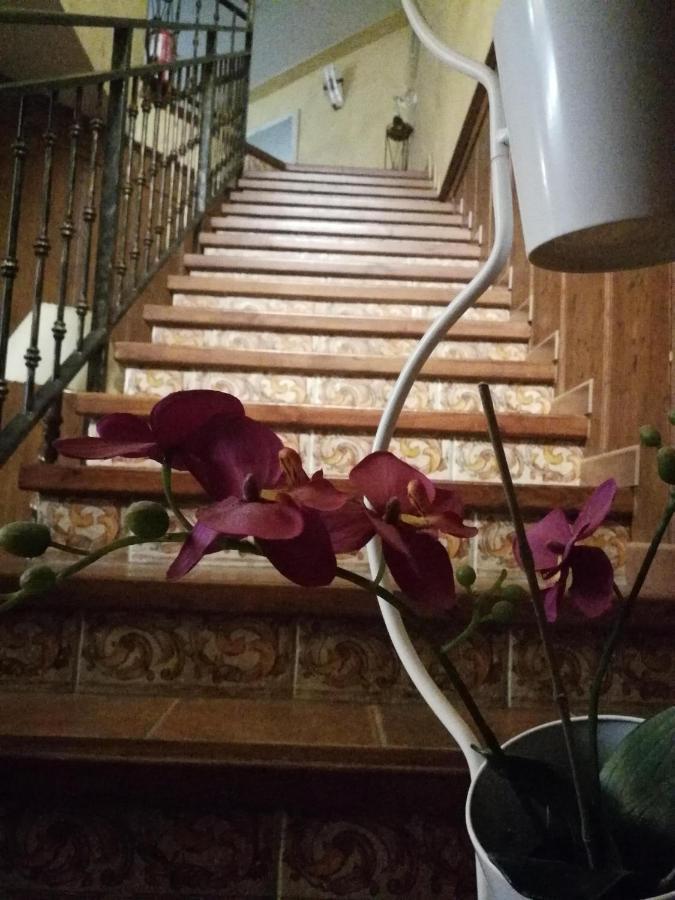 Casa Rural El Infante 오로페사 외부 사진